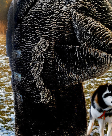 Stacy Menswear Couture Black Knight Faux Persian Lamb Designer Coat with Raccoon Fur Trimmed Hood